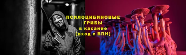 ALPHA PVP Пестово