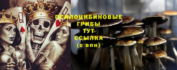 мдма Переславль-Залесский