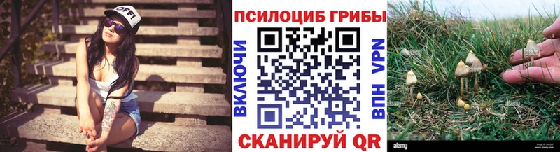 Галлюциногенные грибы GOLDEN TEACHER цены Торопец